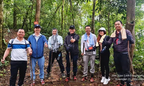 Hành trình băng rừng, leo núi tìm về thủ phủ sâm Ngọc Linh