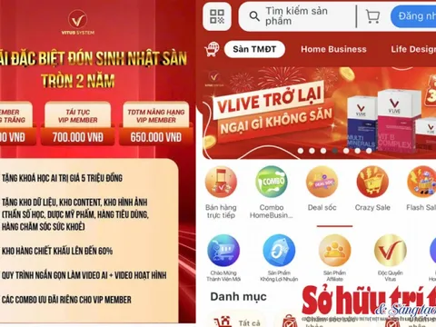 Vitus System: Cảnh báo của chuyên gia pháp lý khi tham gia hoạt động của sàn TMĐT không phép