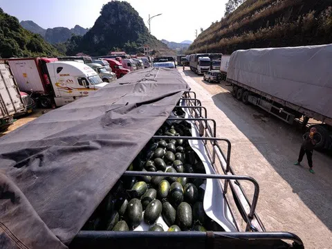 Trung Quốc ngừng nhập trái cây, nông sản chờ thị trường nội địa