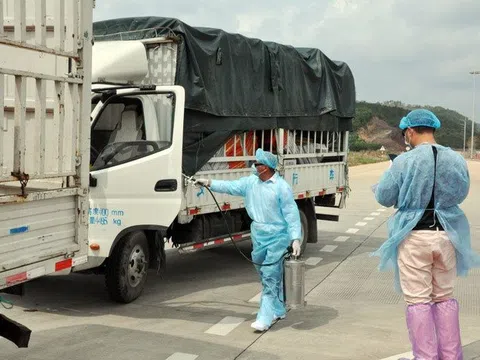 Trung Quốc cho thông quan các cửa khẩu, lối mở biên giới ở Quảng Ninh