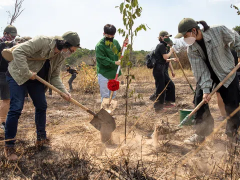 Hà Anh Tuấn trồng 5.000 cây gây rừng